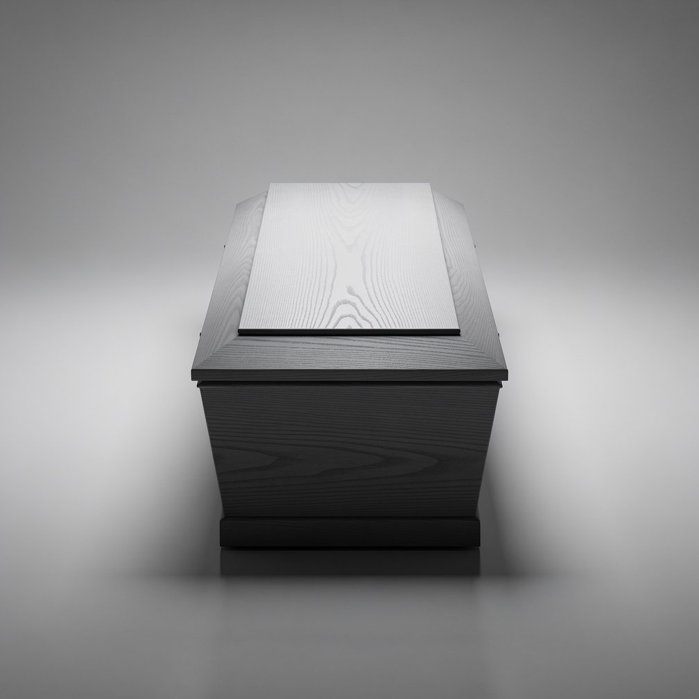Minimalist black and white photo of a high-quality wooden coffin, dignified lighting.