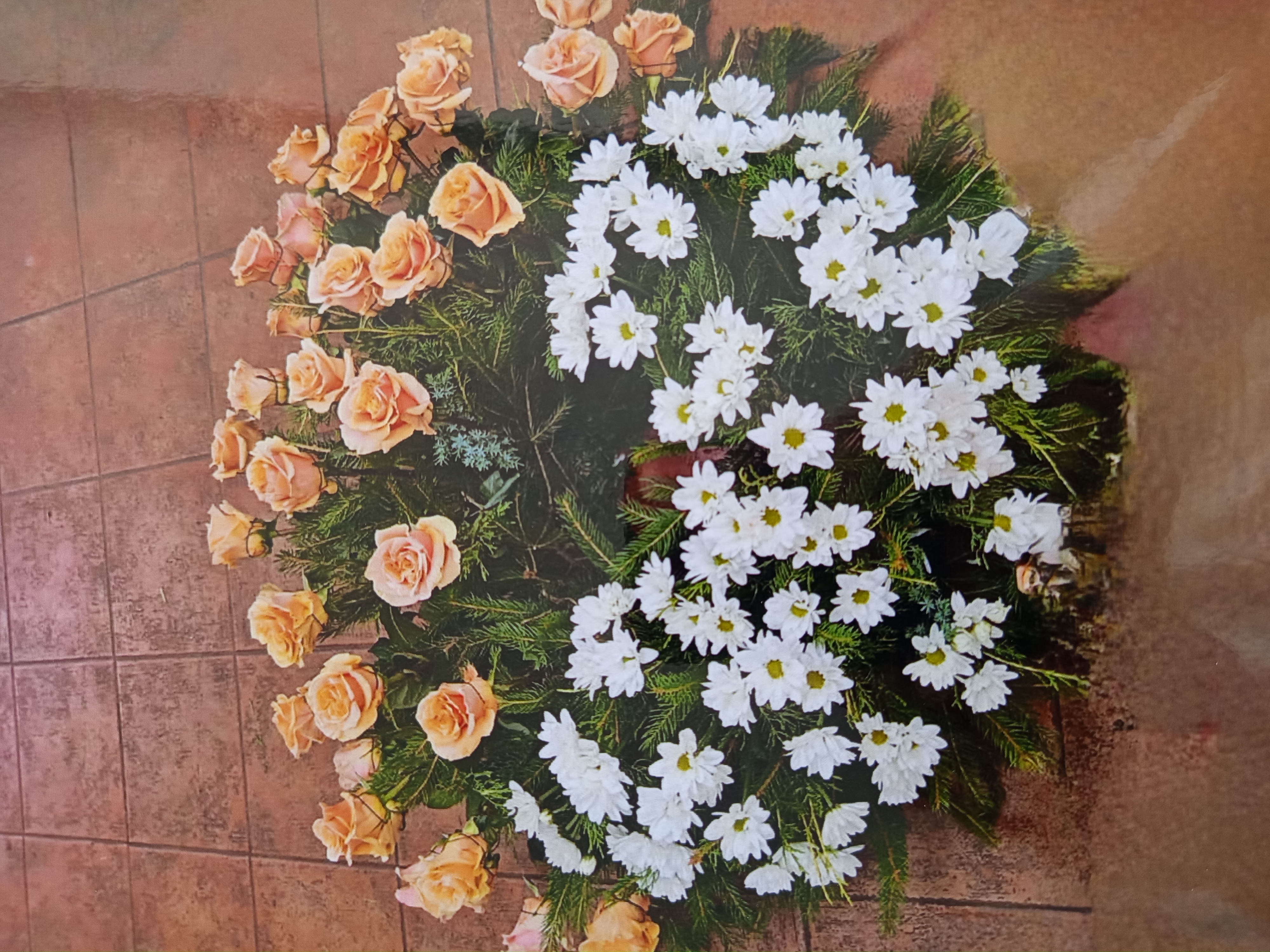Vazba Švestka 13