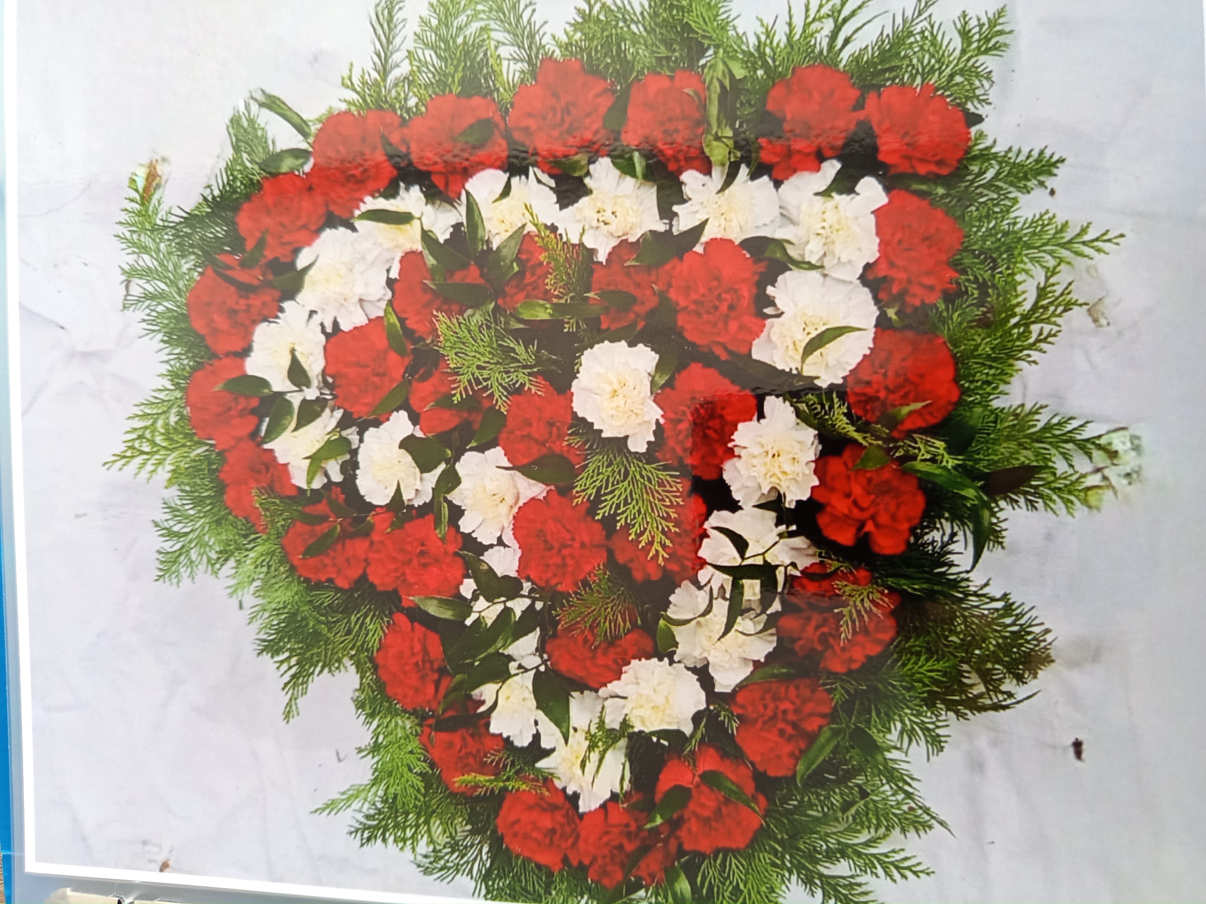 Vazba Švestka 35