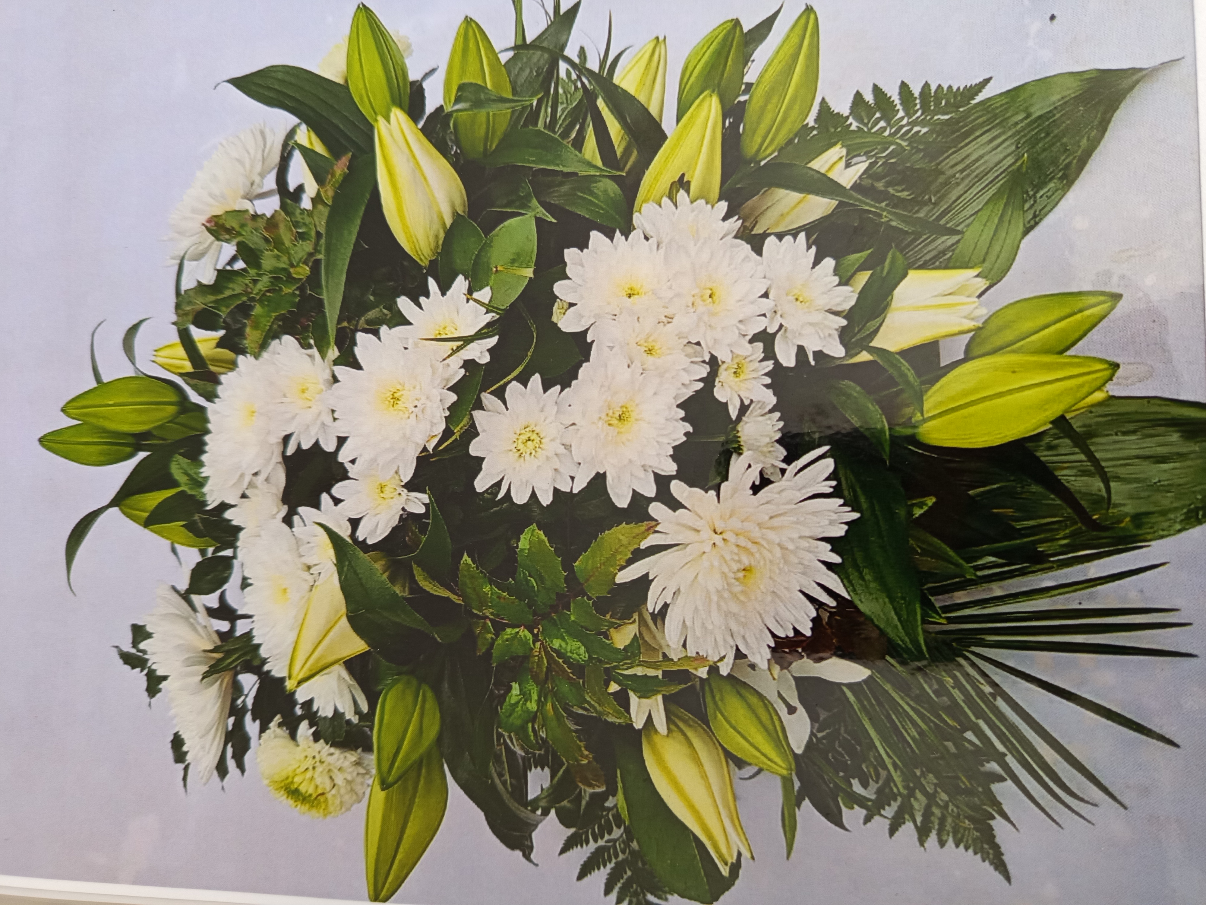 Vazba Švestka 4