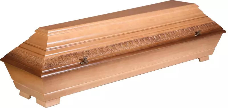 T4 světlá